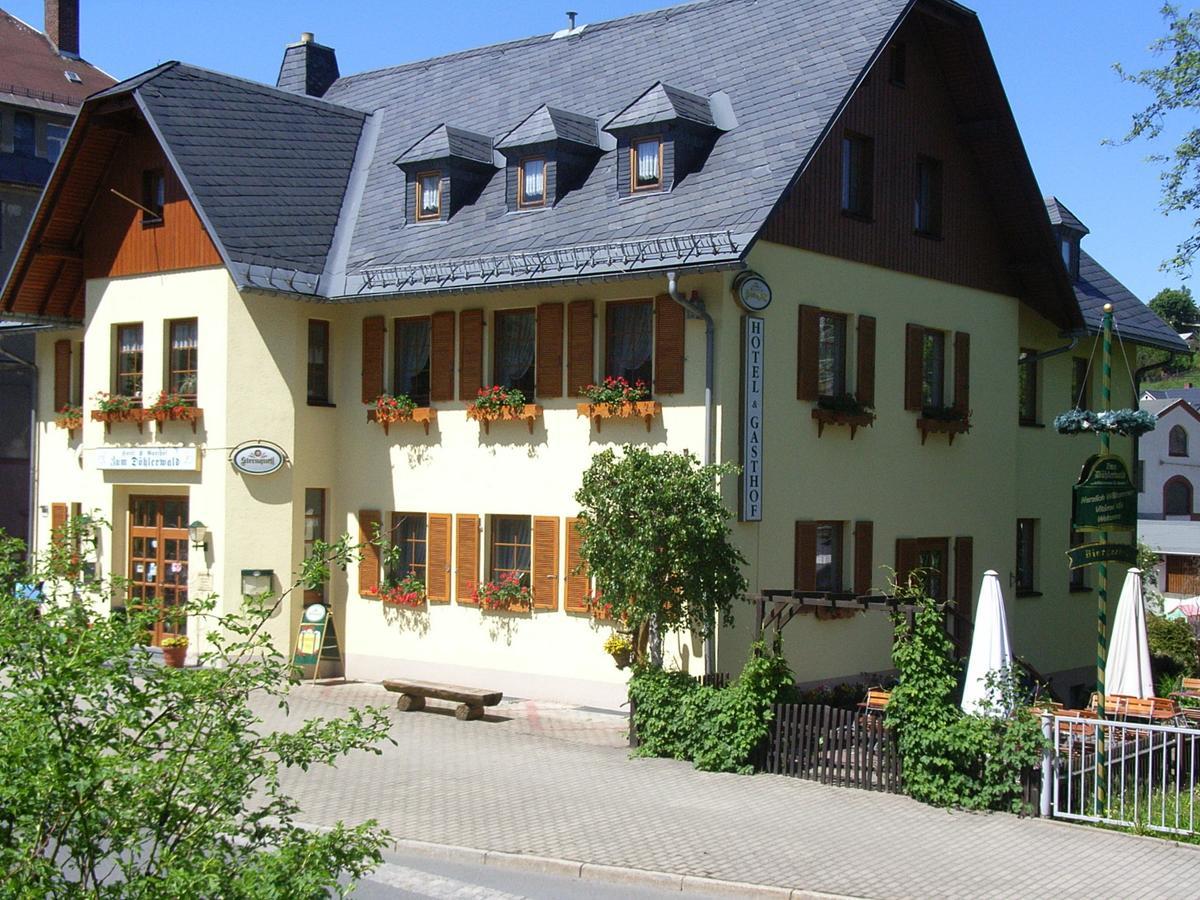 Hotel Gasthof zum Döhlerwald Klingenthal Exterior foto